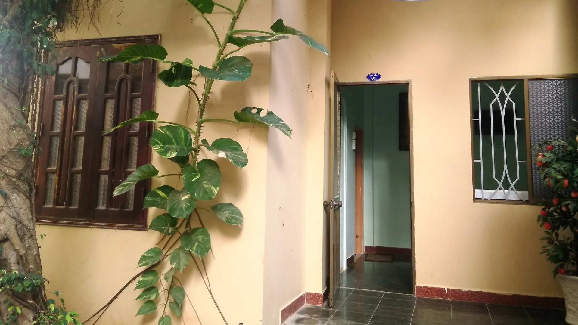 Freshup Villa Homestay - Hostel Βουνγκ Τάου Ξενοδοχείο